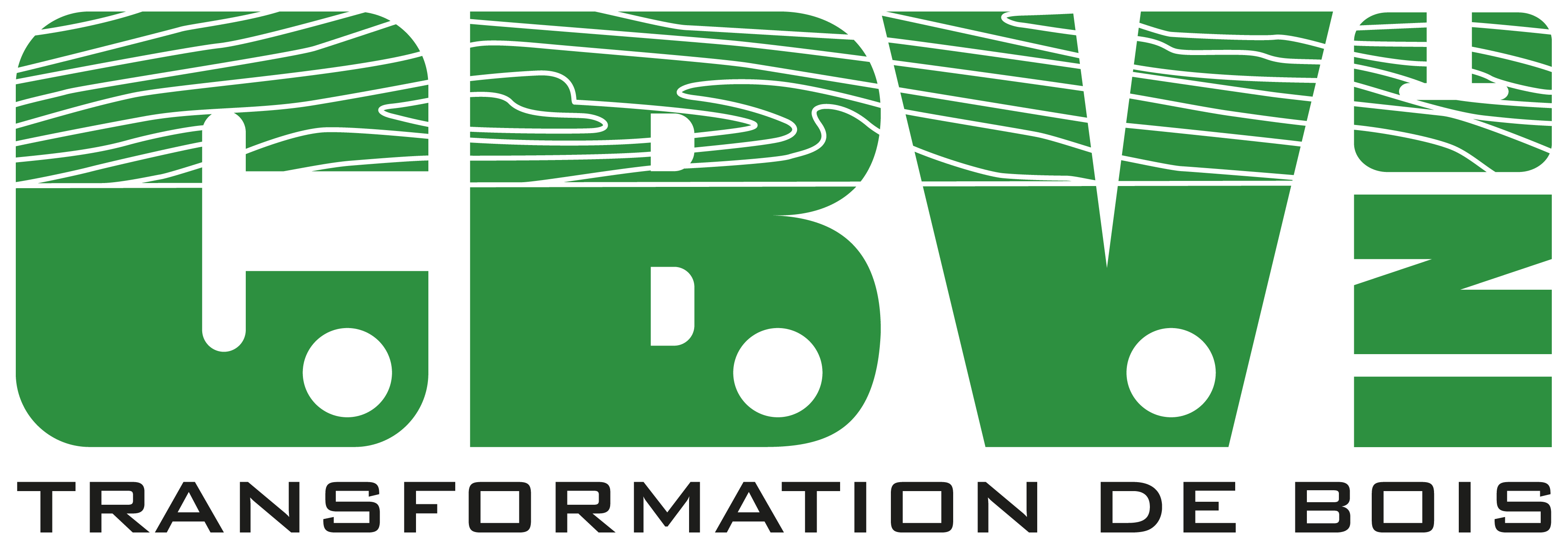 logo jpg CBV - fond blanc.jpg (2)