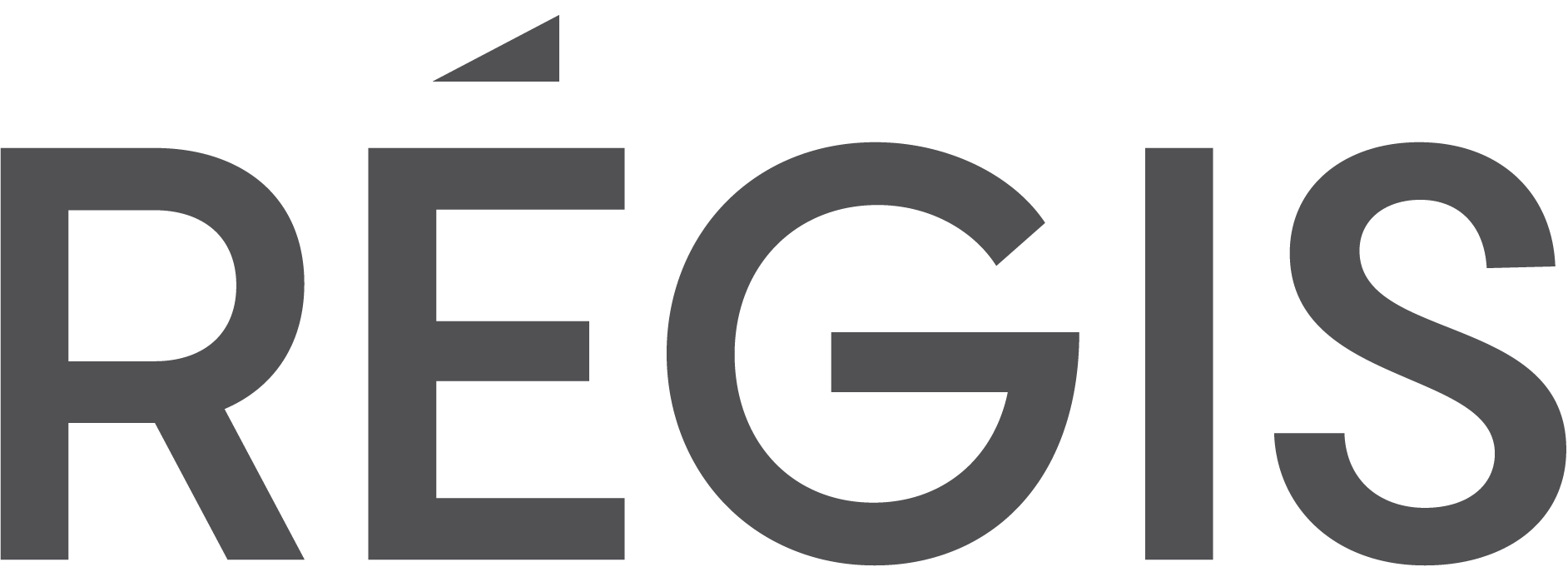logo-horizontal-acier.png (1)