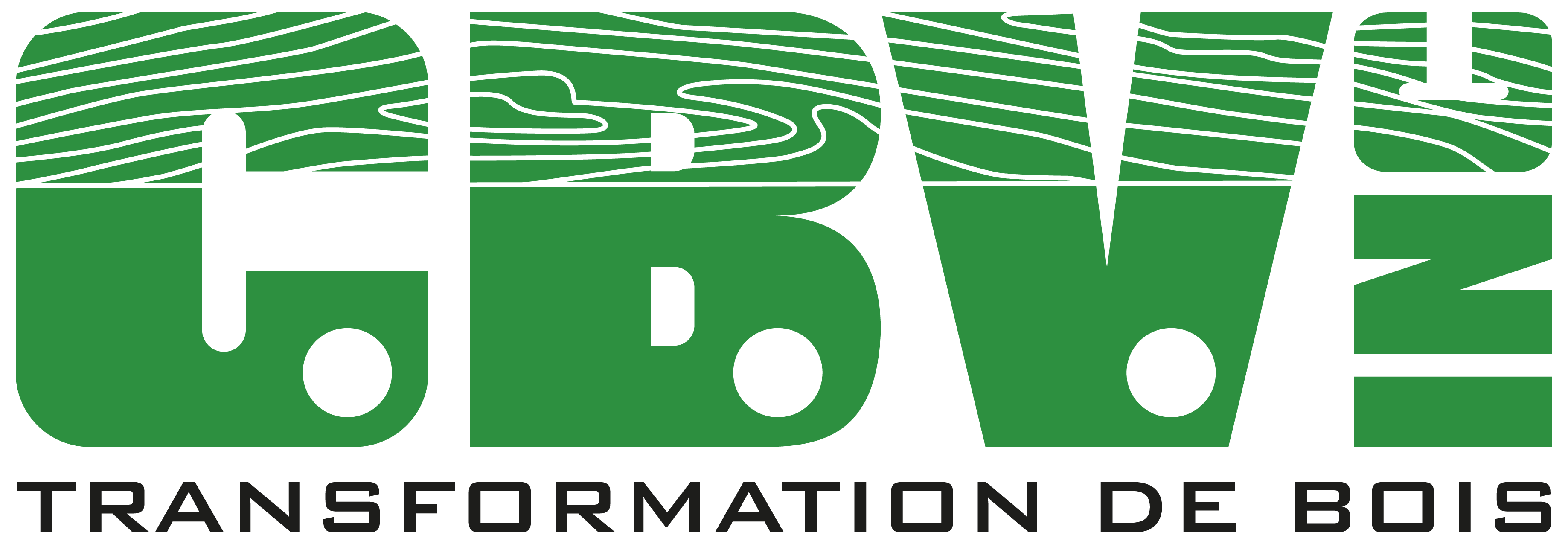logo png CBV - fond transparent.png