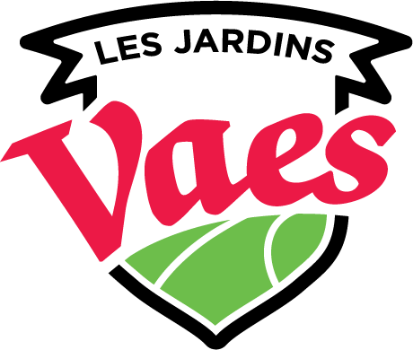 logo png vaes.png