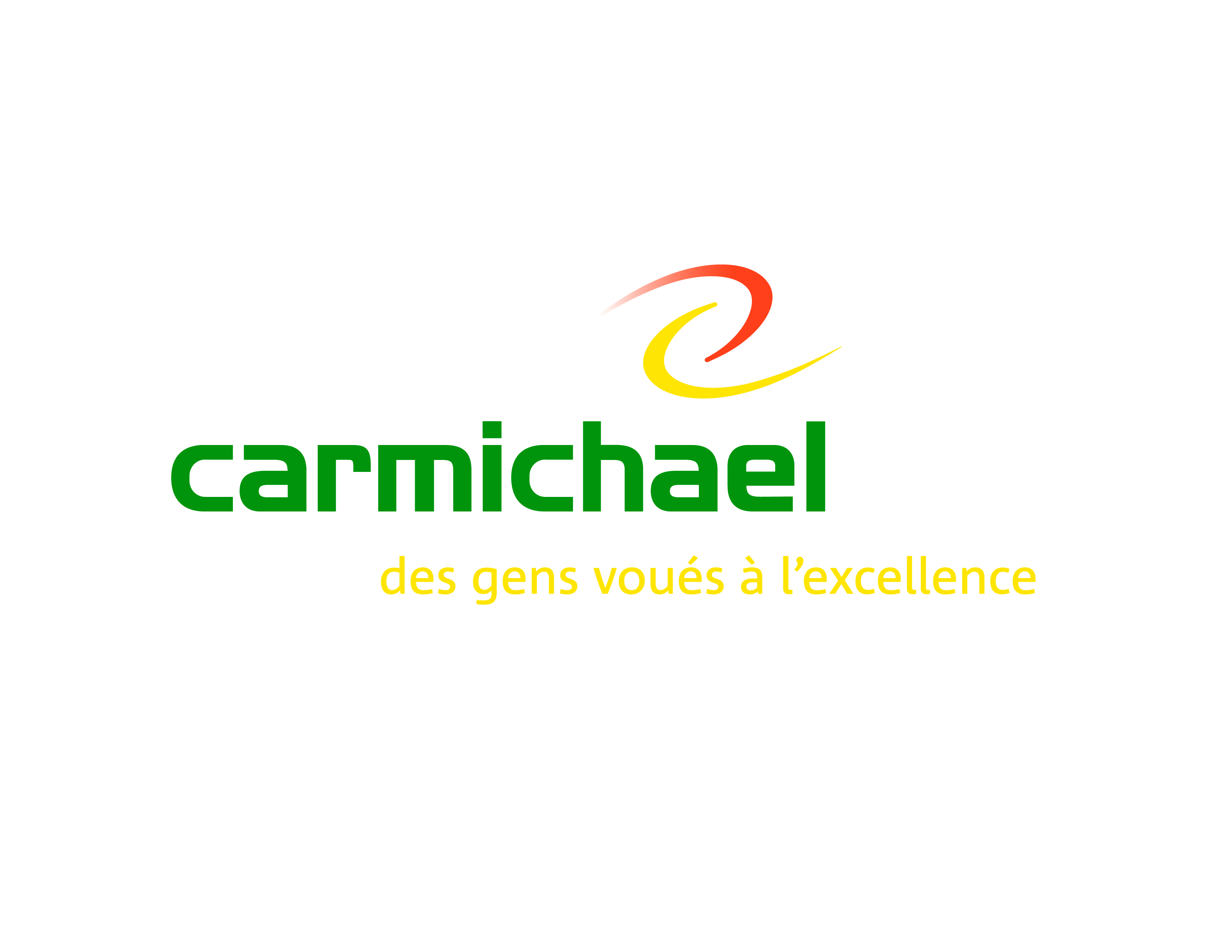 logo fi F_posi_Carmichael.jpg