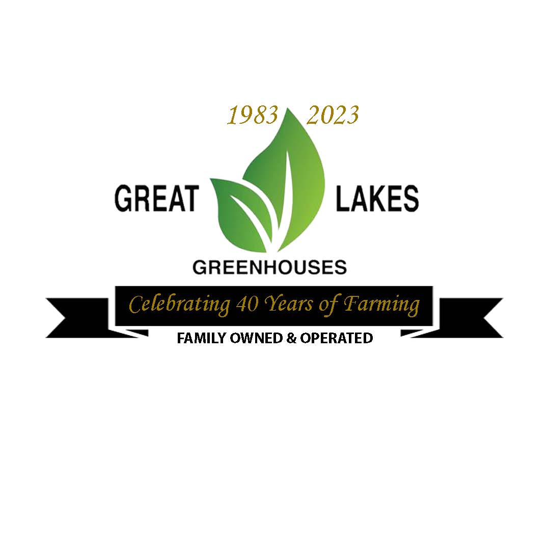 40th anniversary logo.jpg
