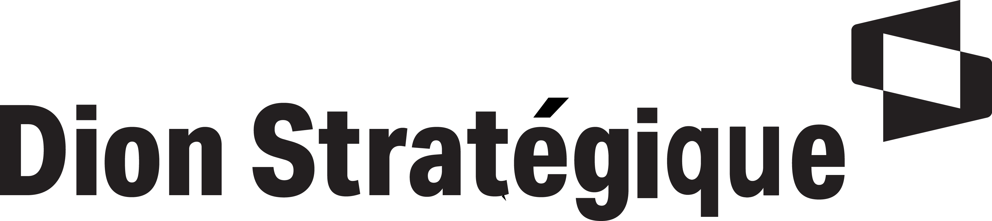 dionstrategic_logo_french_blk_rgb.jpg (1)