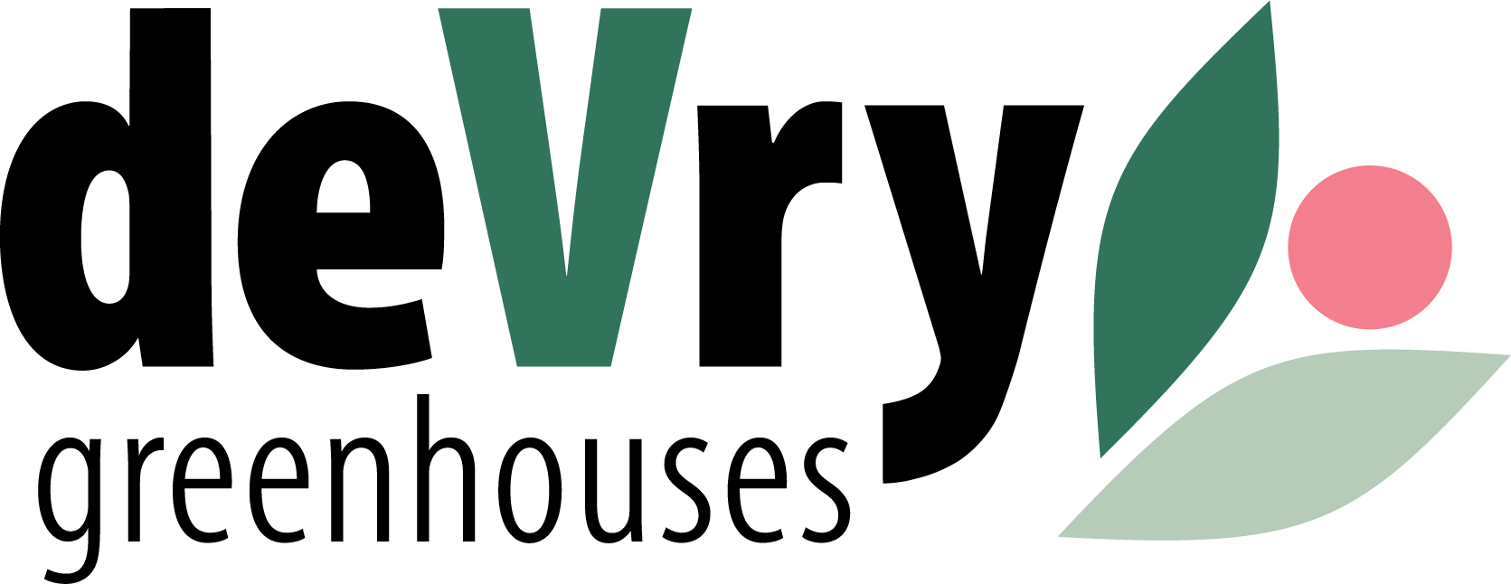 DeVry Logo 2025 - Final.png (2)