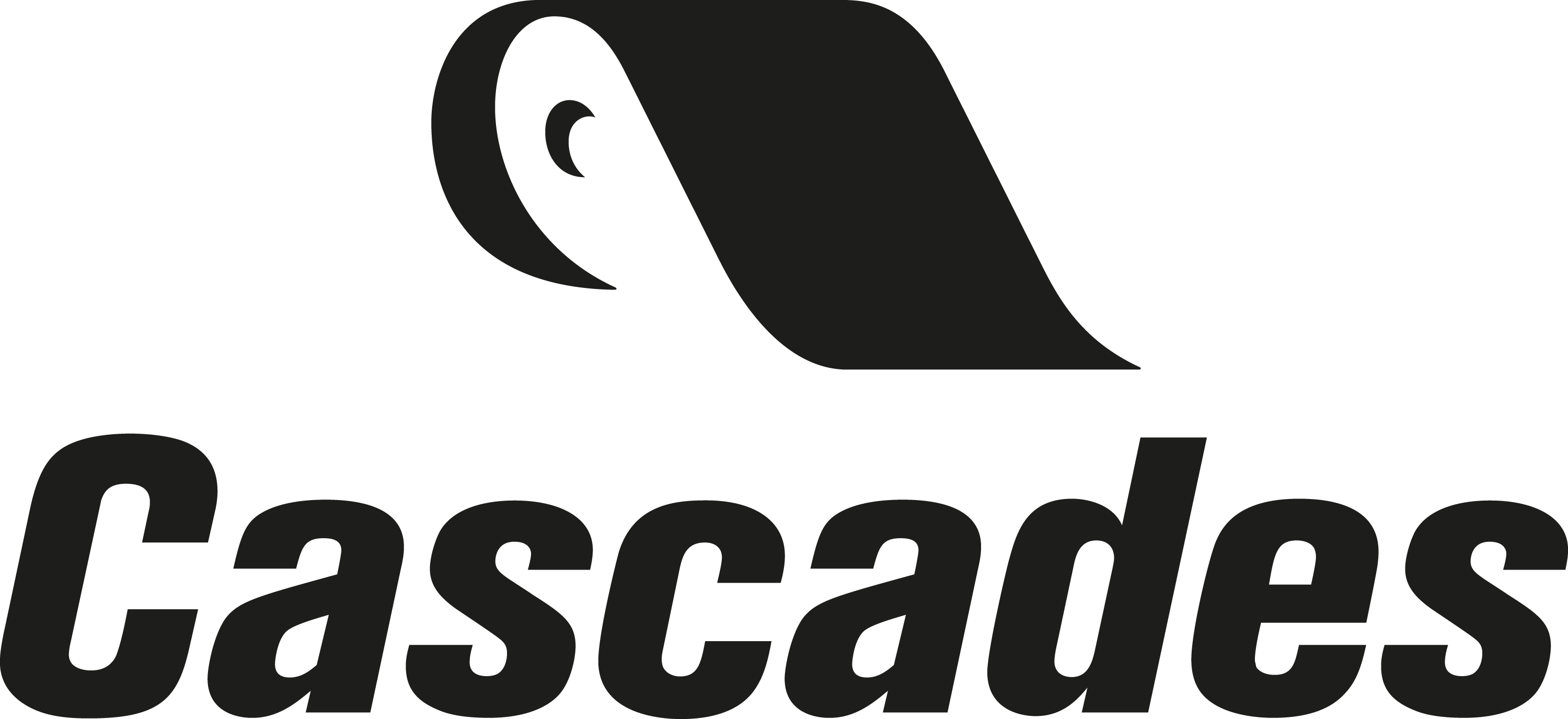 Logo_Cascades_noir.png (5)
