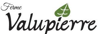logo valupierre.png