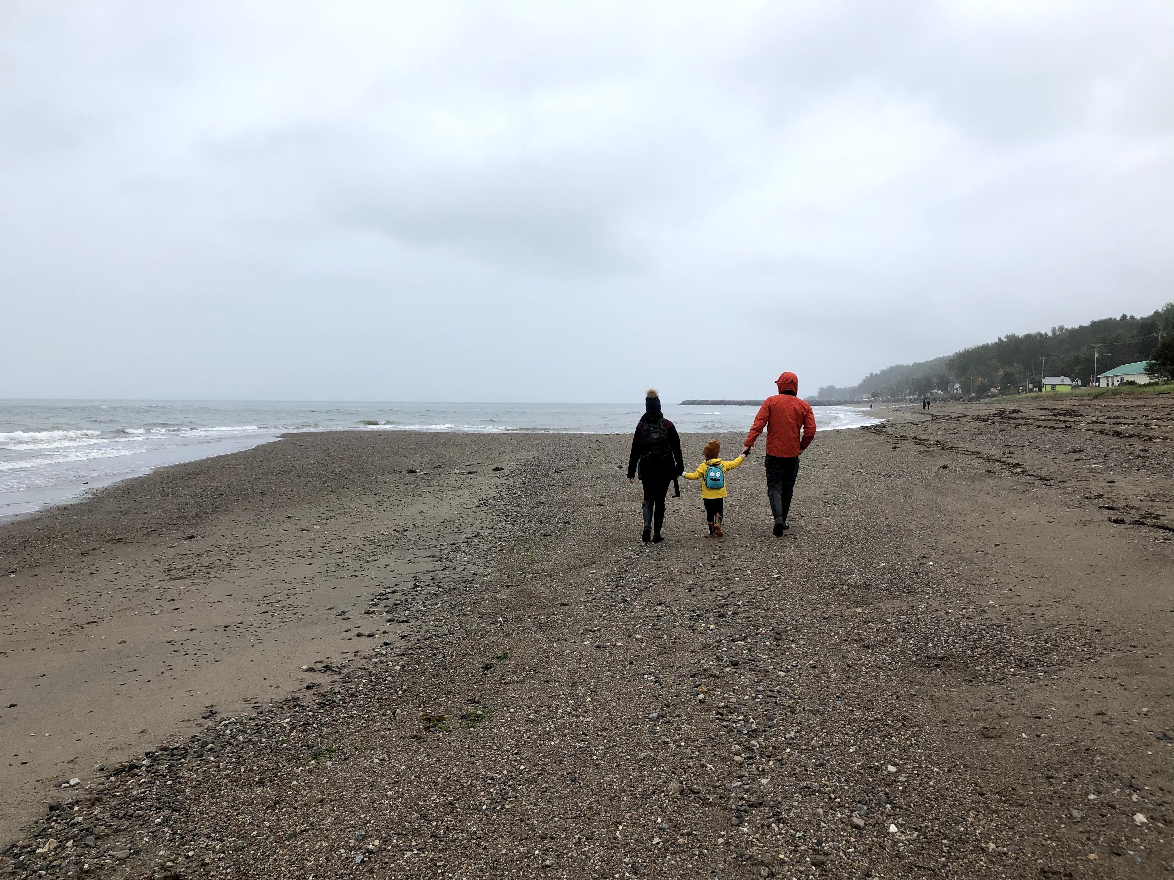 IMG_3644_Original.jpg (2)