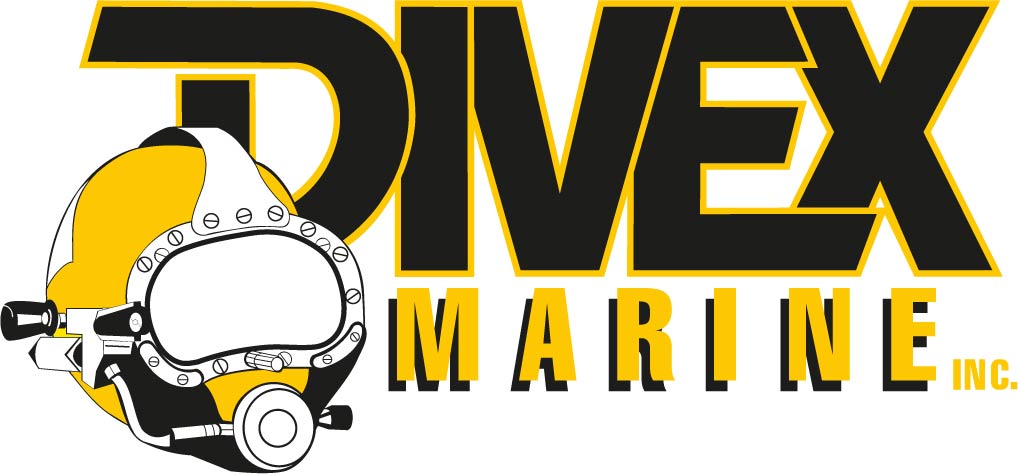 Logo Divex 2018.jpg